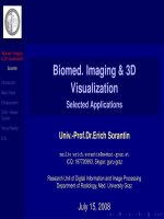 3d imaging in medicine