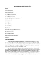 Bảo mật Wimax Quản Lý Khóa Riêng pdf