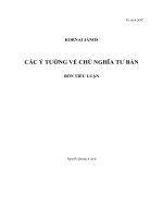 Các ý tưởng về chủ nghĩa tư bản