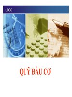 Thuyết trình Quỹ đầu cơ