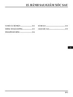 chương 15: Bánh sau và giảm xóc sau xe máy SHI 125/150