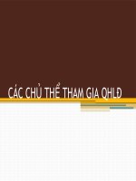 BÀI 2 CÁC CHỦ THỂ THAM GIA QHLĐ pptx