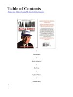 Made in America (1992)