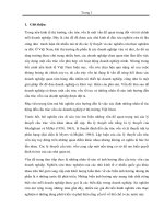 NHỮNG NHÂN TỐ TÁC ĐỘNG ĐẾN CẤU TRÚC VỐN CÁC LÝ THUYẾT NỀN TẢNG VÀ BẰNG CHỨNG THỰC NGHIỆM Ở VIỆT NAM