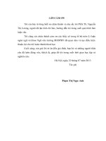 TÌM HIỂU TÍN HIỆU THẨM MĨ “GIÓ” TRONG  THƠ XUÂN DIỆU TRƯỚC CÁCH MẠNG TRÊN  BA BÌNH DIỆN: KẾT HỌC, NGHĨA HỌC, DỤNG HỌC     LUẬN VĂN THẠC SĨ KHOA HỌC NGỮ VĂN