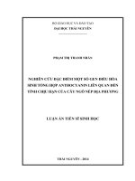 Nghiên cứu đặc điểm một số gen điều hoà sinh tổng hợp anthocyanin liên quan đến tính chịu hạn của cây ngô nếp địa phương