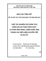Hợp tác nghiên cứu phân tích, đánh giá an toàn vùng hoạt lò phản ứng năng lượng nước nhẹ trong các điều kiện chuyển tiếp và sự cố