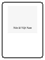 Nón lá Việt Nam ppt