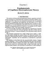 capillary electrophoresis guidebook