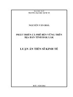 Phát tiển cà phê bền vững trên địa bàn tỉnh đắk lắk