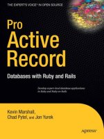 pro active record, apress (2007)