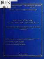 Hoàn thiện công nghệ sản xuát chế phẩm vi sinh vật đối kháng phòng bệnh thối rễ cho cây cà phê, bông vải miền trung, tây nguyên