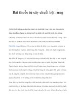 Bài thuốc từ cây chuối hột rừng ppt