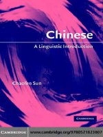 chinese a linguistic introduction