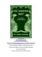 adsense mint a license to print money james fraser