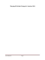 Tổng hợp đề thi kinh tế lượng (kì 1 năm học 2012)