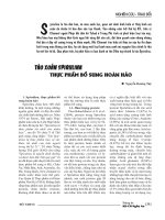 TẢO XOẮN SPIRULINA THỰC PHẨM BỔ SUNG HOÀN HẢO