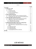 Vốn đầu tư trực tiếp nước ngoài FDI, thực trạng và giải pháp thu hút nguồn vốn FDI vào Việt Nam