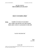 Nghiên cứu đề xuất giải pháp định hướng phát triển thị trường tiêu thụ giầy dép nội địa trong bối cảnh suy giảm kinh tế thế giới