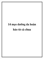 14 mẹo dưỡng da hoàn hảo từ cà chua ppt