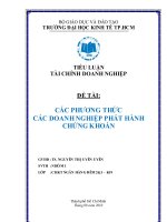 tiểu luận các phương thức các doanh nghiệp phát hành chứng khoán