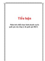 tiểu luận phân tích chiến lược kinh doanh xuyên quốc gia của công ty đa quốc gia ikea