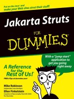 jakarta struts for dummies 2004
