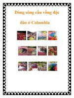 Dòng sông cầu vồng độc đáo ở Columbia pptx