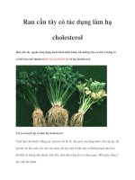 Rau cần tây có tác dụng làm hạ cholesterol ppt