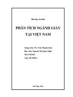 PHÂN TÍCH NGÀNH GIẤY TẠI VIỆT NAM