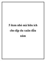 5 item nhỏ mà hữu ích cho dịp du xuân đầu năm doc