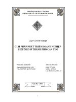 giải pháp phát triển doanh nghiệp siêu nhỏ ở tp. cần thơ