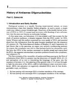 antisense therapeutics