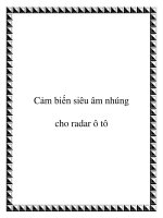Cảm biến siêu âm nhúng cho radar ô tô pptx