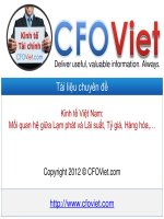 Kinh tế Việt Nam: Mối quan hệ giữa Lạm phát và Lãi suất, Tỷ giá, Hàng hóa,… ppt