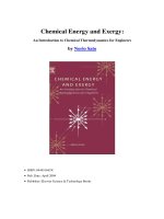 chemical energy and exergy an introduction to chemical thermodynamics for engineers