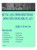 Thuyết trình quá trình hình thành đồng tiền chung SDR, EU, ACU