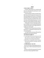 Nghiên cứu ứng dụng quai hỗng tràng biệt lập trong phẫu thuật nối mật - ruột.