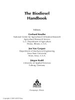 the biodiesel handbook - knothe, van gerpen and krahl (full version)