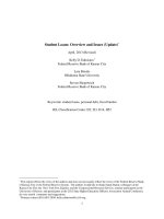 Khả năng trả nợ (TL tiếng anh)