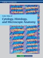 color atlas of cytology, histology, and microscopic anatomy - wolfgang kuhnel