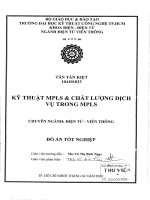 Kỹ thuật MPLS và chất lượng dịch vụ trong MPLS