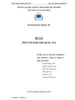 Tiểu luận phân tích rủi ro quốc gia