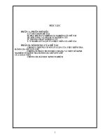 skkn Kiểm tra đánh giá giờ dạy trên lớp có hiệu quả