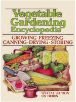 vegetable garden encyclopedia (consumer guide, 1982)