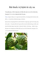 Bài thuốc trị bệnh từ cây na pdf