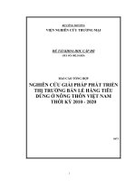 Nghiên cứu giải pháp phát triển thị trường bán lẻ hàng tiêu dùng ở nông thôn việt nam thời kỳ 2010 2020