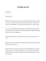 Lời dặn của cha pdf