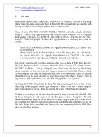 Quản lý hệ thống Mai Nguyên Mobile(1) doc