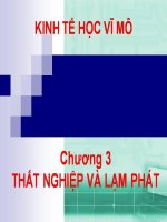 Bài giảng kinh tế vĩ mô - Thất nghiệp và Lạm phát